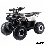 Квадроцикл MOTOLAND (МОТОЛЕНД) 125 STORM A