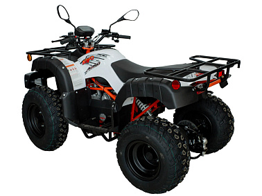 Квадрицикл KAYO AU150 (белый пластик 2024 г.) (ПТС)