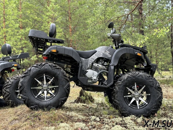 Квадроцикл PROMAX 320 DOMINATOR