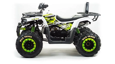 Квадроцикл PROMAX WILD 300 LUX (2024)